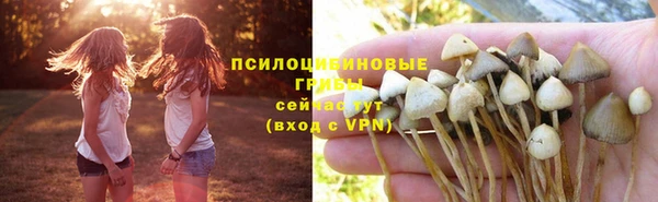 СК Пролетарск