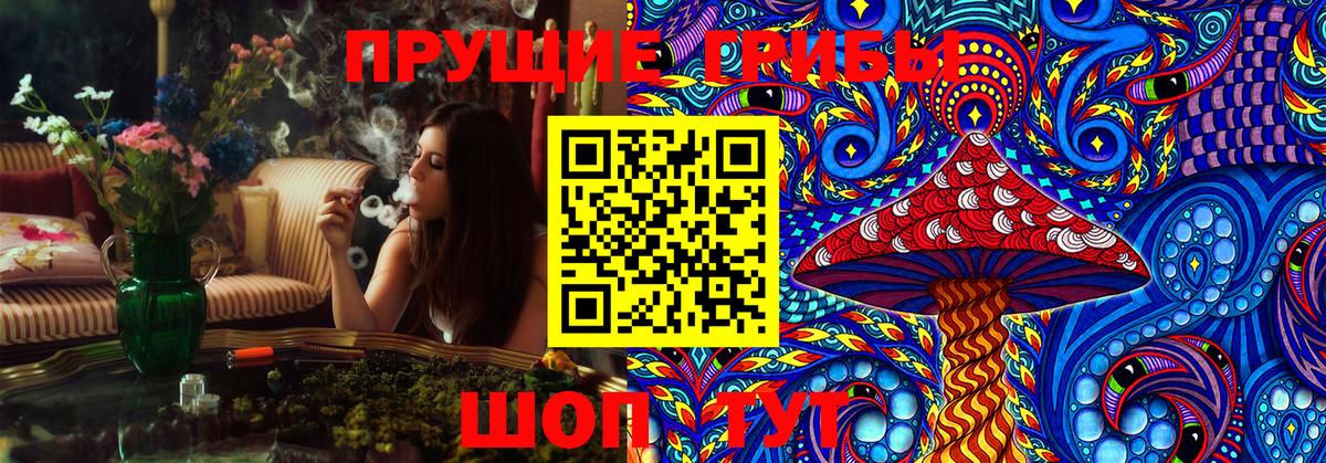 Галлюциногенные грибы прущие грибы Луховицы