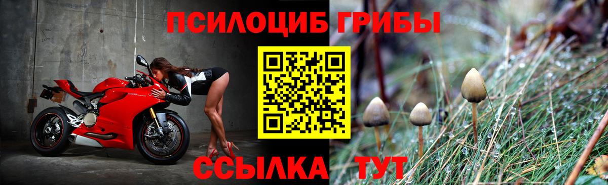 Луховицы  Псилоцибиновые грибы GOLDEN TEACHER  Псилоцибиновые грибы прущие грибы  Вход с VPN 